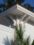 SALTGRASS PLAZA